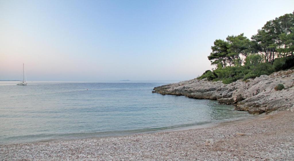 Plazibat Apartman *